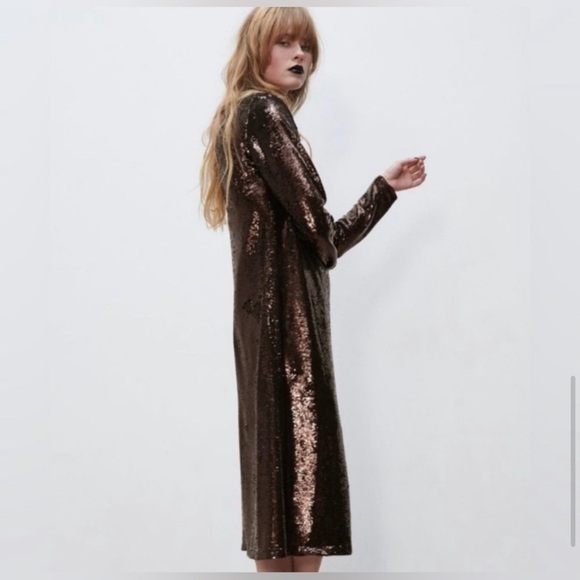 Zara Metallic Brown Sequin Dress - Picture 8 of 11
